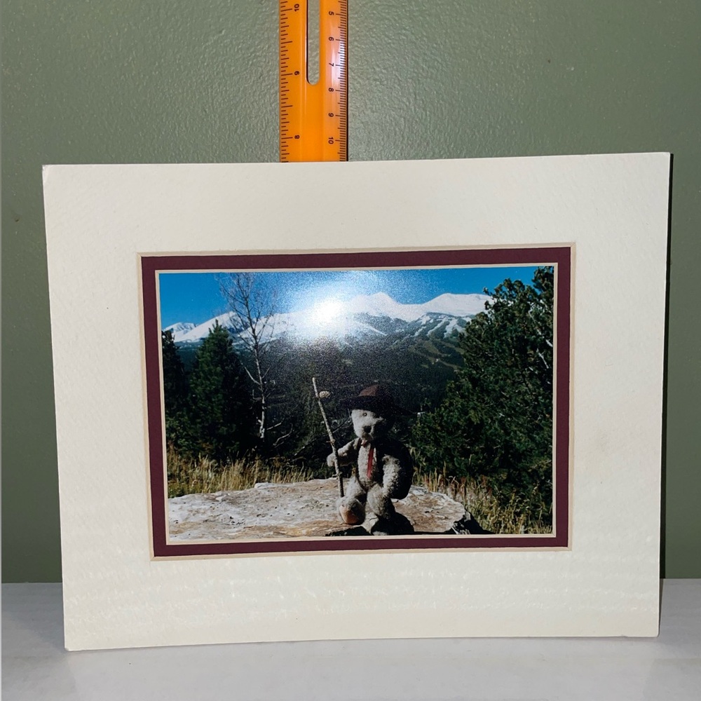 🧸Boyd’s Bears Framed Teddy Bear Mountain Photo